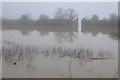 SO8933 : Railway embankment reflected in floodwater by Philip Halling