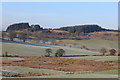 Fields south of Kilallan