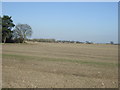 Farmland off Moss Side Lane