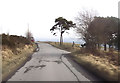 Entrance to Gwaun-y-Maglau