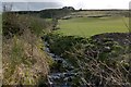 Tributary of the Carrochan Burn