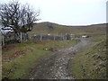 Upland track near the old quarries