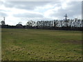 Farmland, Bank Heath