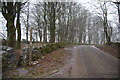 Footpath leaving Cowdale