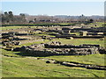 Corstopitum - view of site from southwest corner (2)