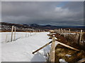 NO6480 : Snow fences by the Cairn o' Mount road by Alan O'Dowd