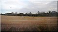 Farmland south of Kenilworth