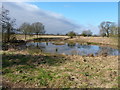 SO7895 : Shallow pool in a field near Grange Farm by Richard Law