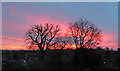 TQ2995 : Sunrise on last Day of February, London N14 by Christine Matthews