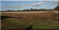 Field by the Greensand Way