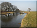 River Annan below Lochbrow Farm