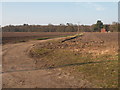 Public footpath by Dobbs Lane