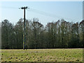 Power pole near Rectory Lane