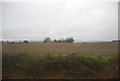 Farmland east of Godstone