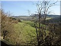 Valley of the France Brook