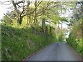 Church Lane, Whitestone