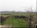 A grassy lane, Learden Lower