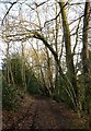 The Greensand Way in the valley of the Tilling Bourne