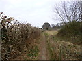 Alderholt, footpath