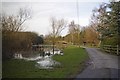 Pond  on Frog Lane