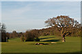TQ4462 : High Elms Golf Course by Ian Capper