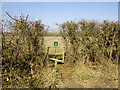 Stile to Lowland Farm off Digdog Lane