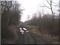 Track into Swinn Wood