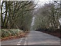 Golden Lane from Southcott Cross