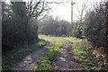 SJ3661 : Lane to Dodleston by Jeff Buck