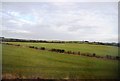 Farmland near Holmes House