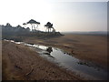 NT6478 : East Lothian Landscape : Across The Sands by Richard West