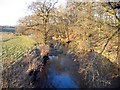 River Petteril from Calthwaite Bridge