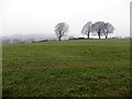 Faccary Townland