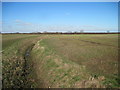 TA1550 : Field  Drain  on  the  Plain  of  Holderness by Martin Dawes