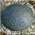 NG1756 : Ordnance Survey Benchmark at Dunvegan Head by John Allan