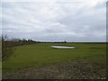 View across the Marshes to Warton, from Lytham Creek, Lytham - 1