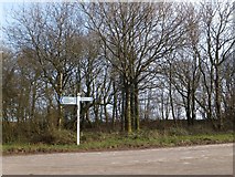 ST1405 : Ewin's Ash crossroads by David Smith