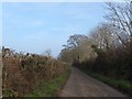 Trees by Greenway Lane