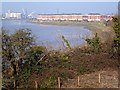 East bank of the River Usk, Newport