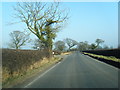 Winsford Road near Ashcroft Farm