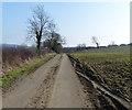 Stockerston Road near Allexton Wood