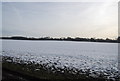 A white field