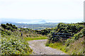 SW5129 : St Michael's Mount from the Ding Dong Mine track by Peter Skynner