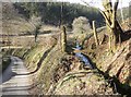 Mill leat, near Bremley