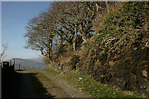 SH5837 : Along the Bridleway, Portmeirion, Gwynedd by Peter Trimming