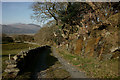 Along the Bridleway, Portmeirion, Gwynedd