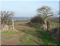 Field path near Firth House