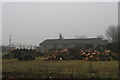 Wood stacks by the A16