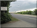 A1036  from  the  entrance  to  Hopgrove  Farm