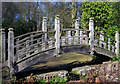 SP0583 : Japanese Bridge at Winterbourne Botanic Garden by Phil Champion